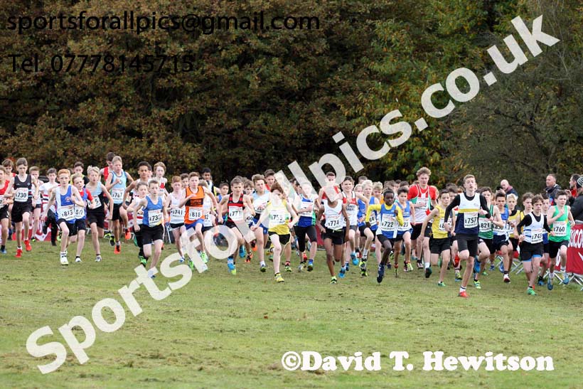 Boys under-13s National Cross Country Relay, Berry Hill Park, Mansfield. Photo:  David T. Hewitson/Sports for All Pics